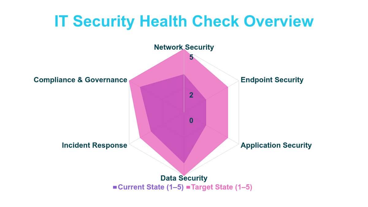 Free IT Security Risk Assessment Radar Chart Template