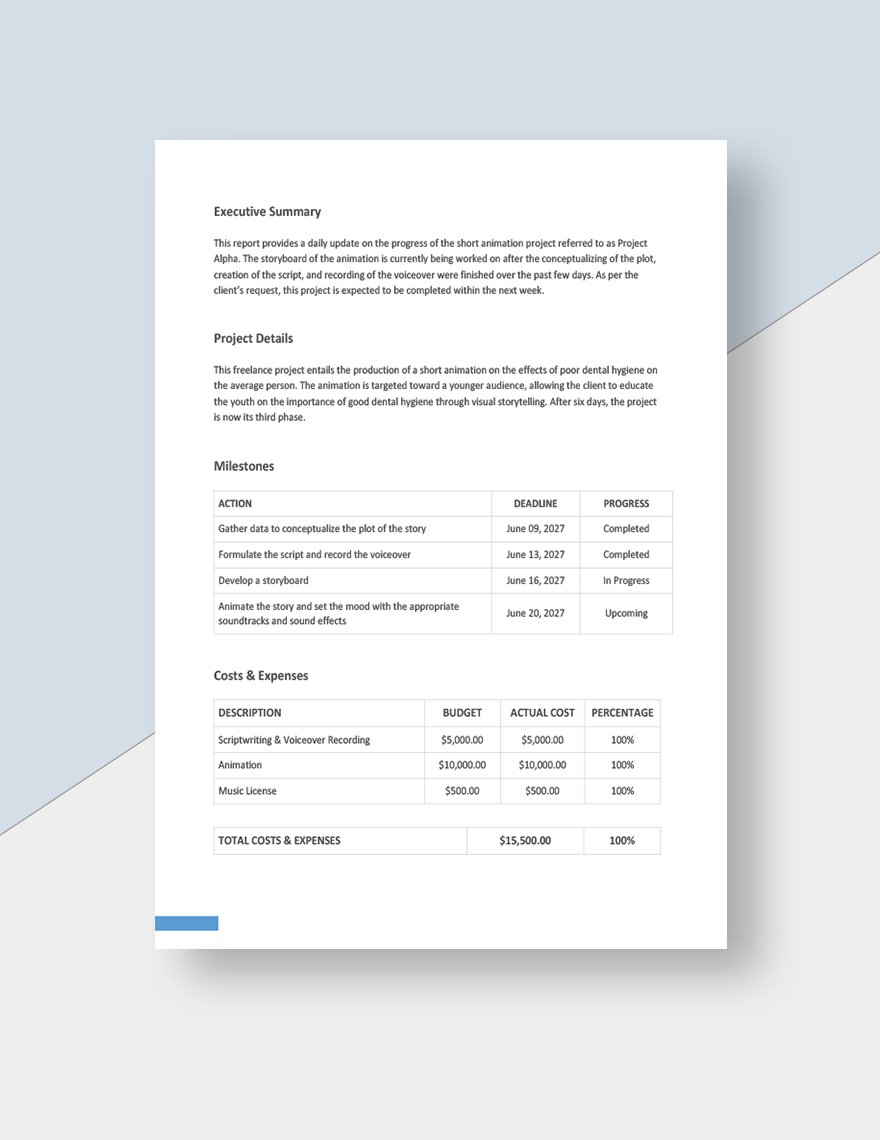 Daily Freelance Work Report Template