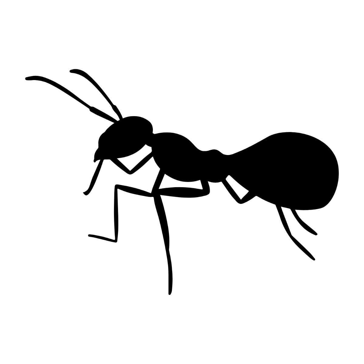 Free ant clipart png to customize and download