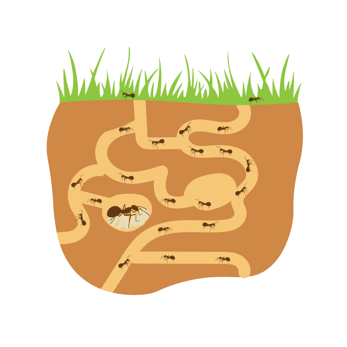 Free ant clipart png to customize and download