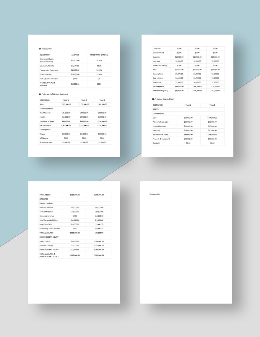 Freelance Photography Business Plan Template