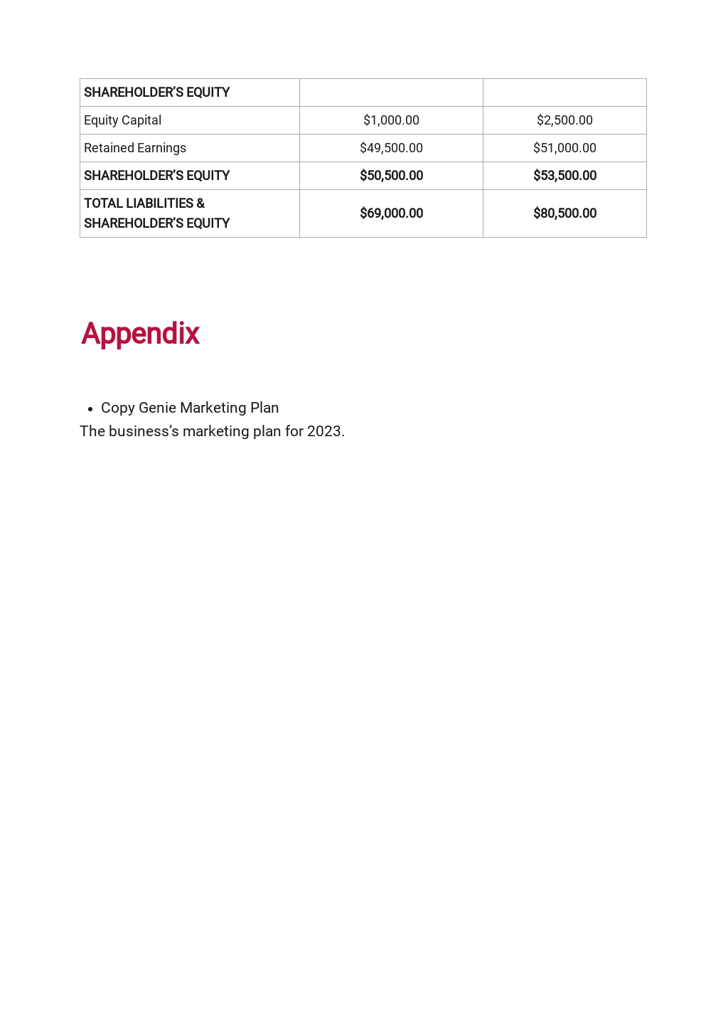Freelance Writing Business Plan Template Free PDF Google Docs Word