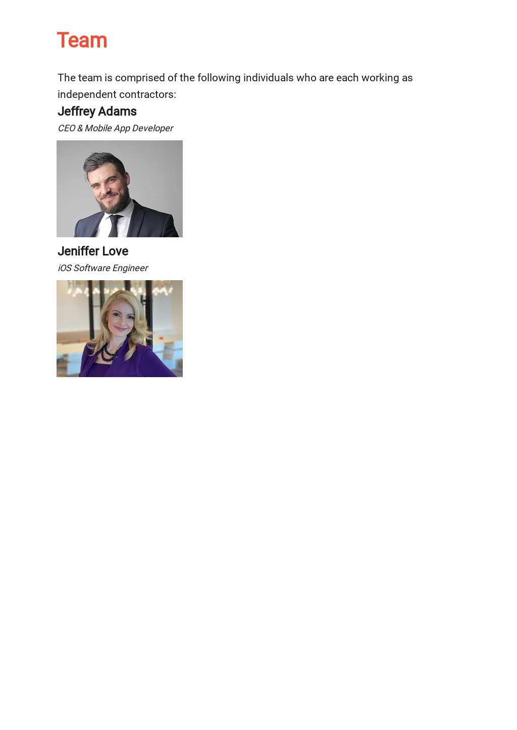 Freelance business plan writer picture