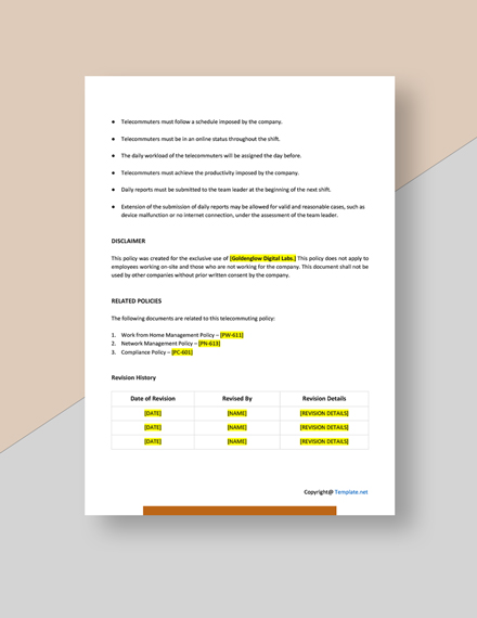 Telecommuting Policy