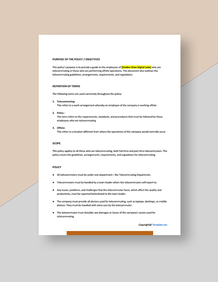 FREE Editable Telecommuting Policy Template - Word (DOC) | Google Docs