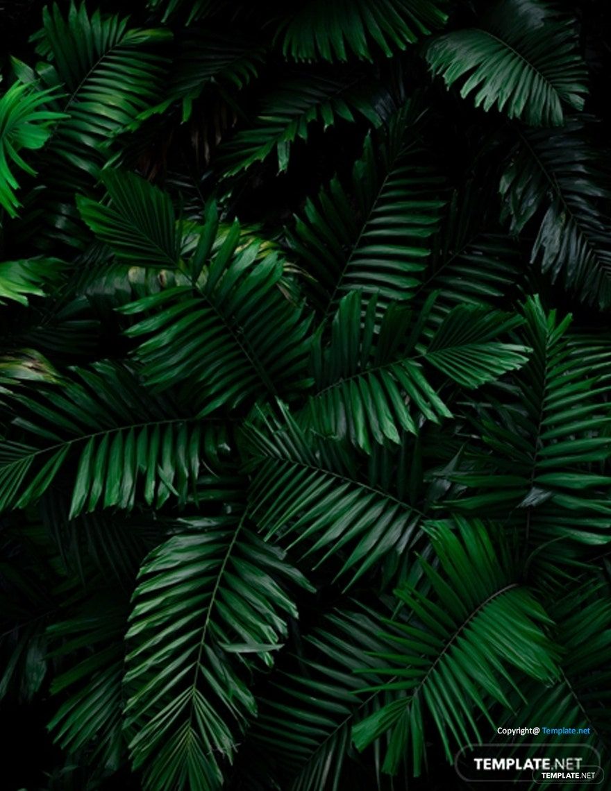 Tropical Zoom Virtual Background Template