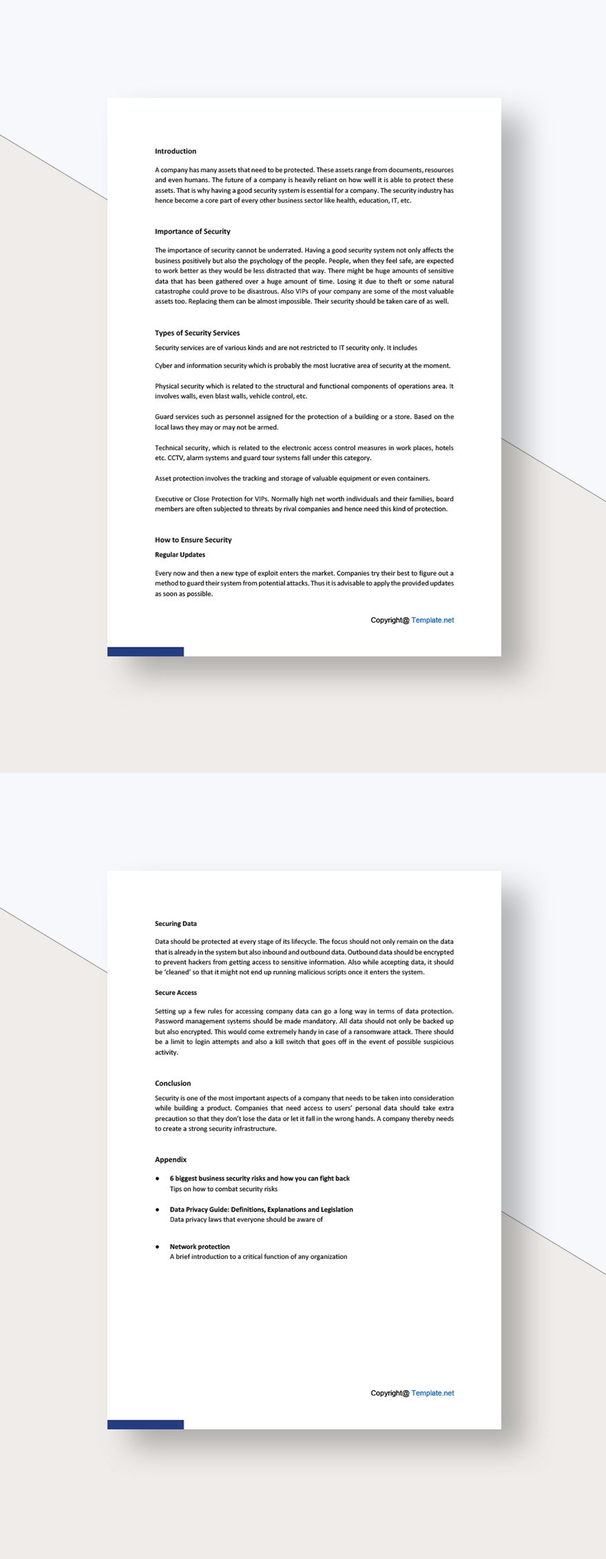 Simple Security White Paper Template in Word Google Docs Download