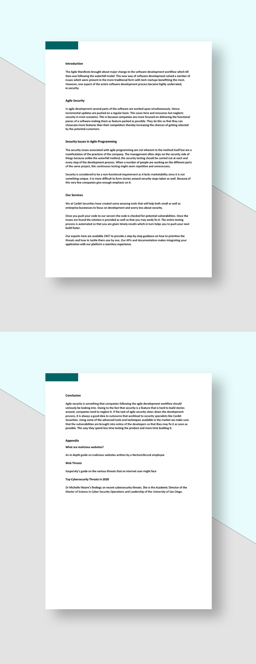 Agile Security White Paper Template