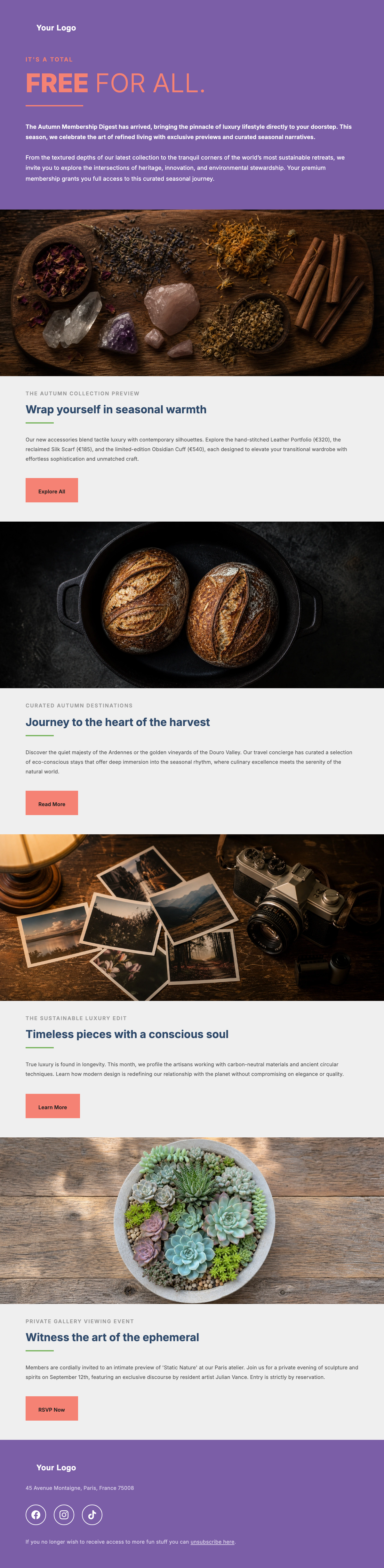 Elegant Newsletter Template - Download Elegant Newsletter Template - Download