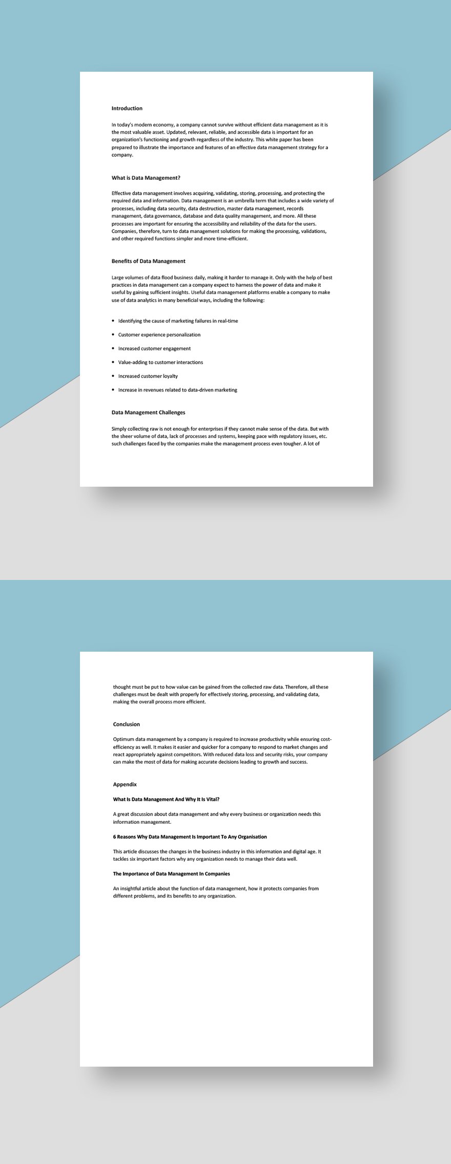 Data Management White Paper Template