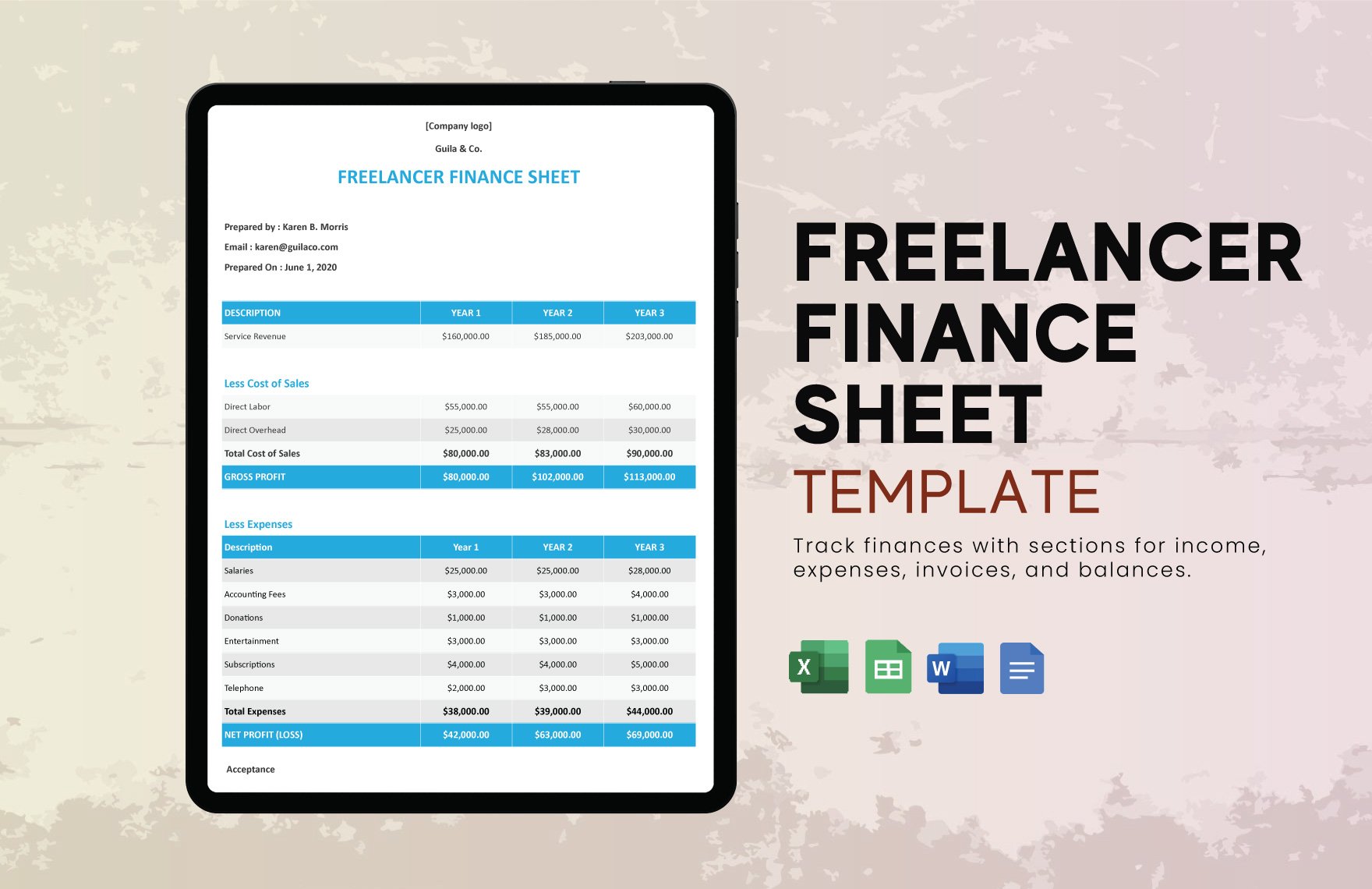 Freelancer Finance Sheet Template in Word, Google Docs, Excel, Google Sheets