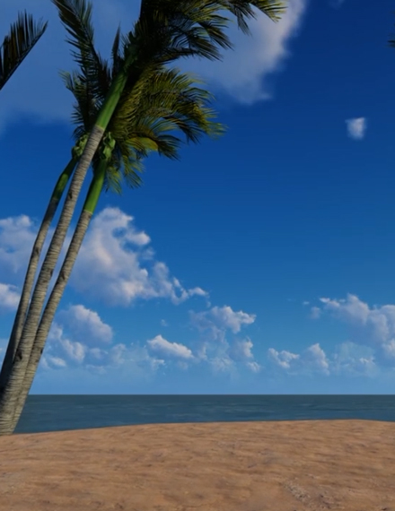 zoom virtual background video download free beach