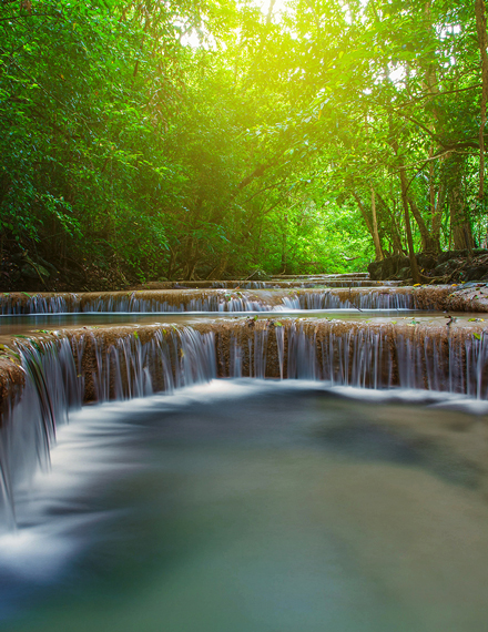 tropical zoom backgrounds