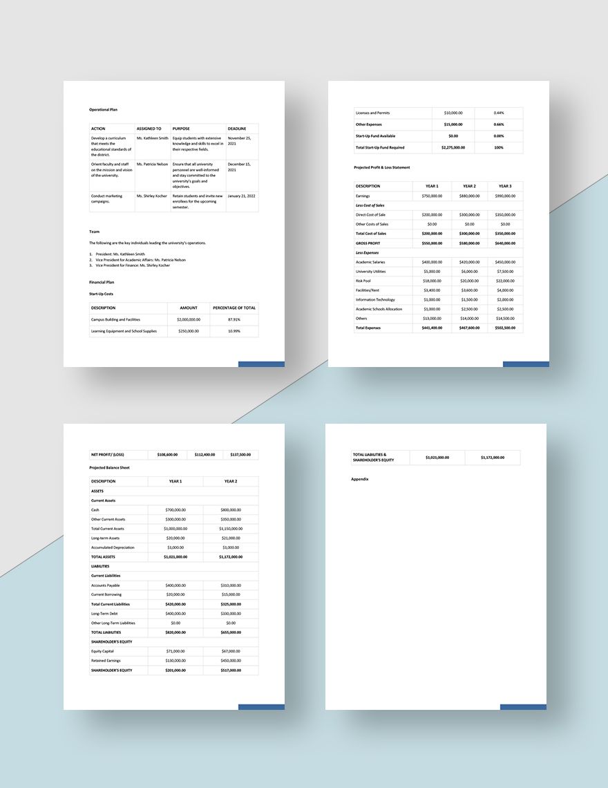College Business Plan Template