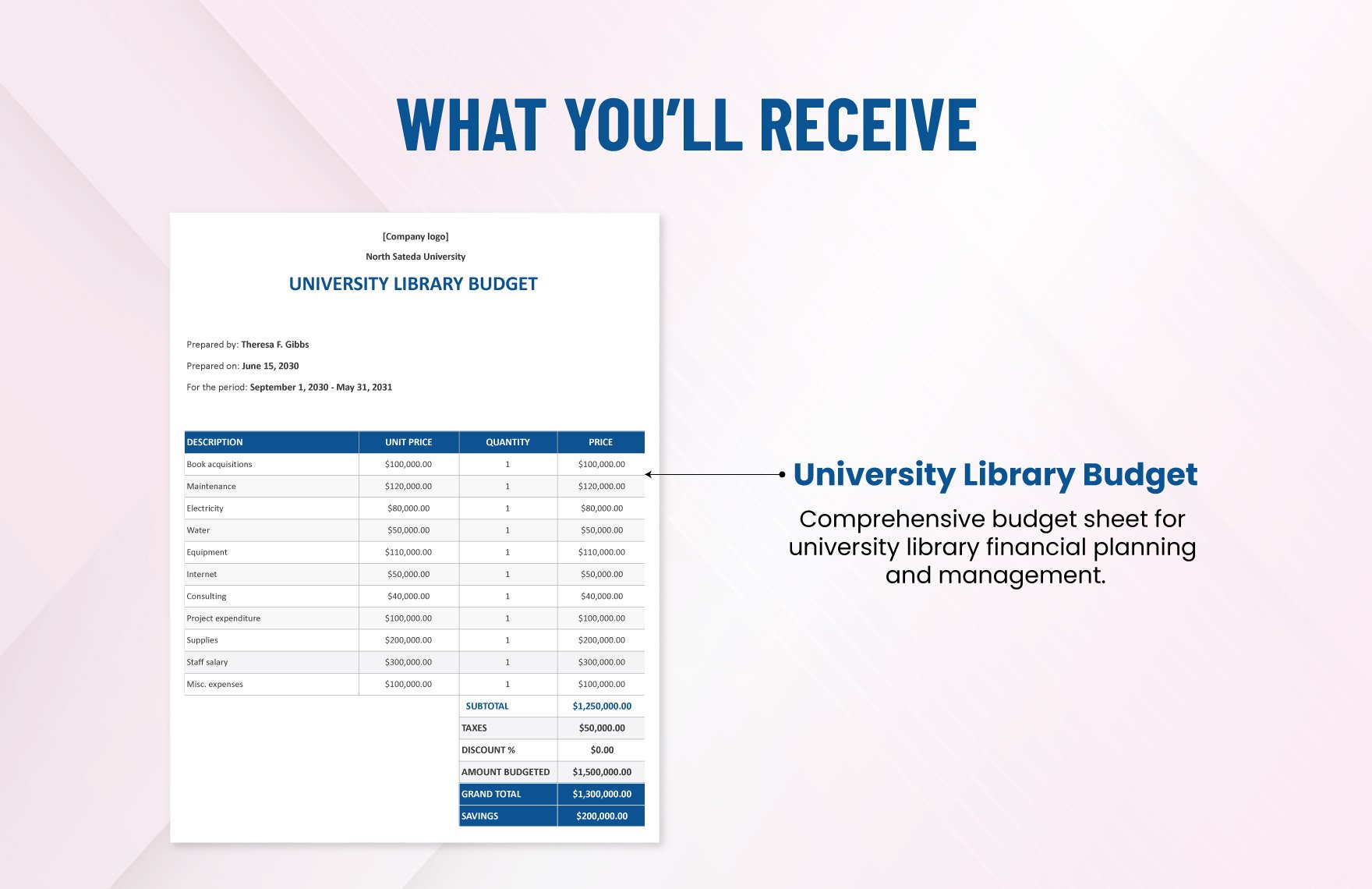 University Library Budget Template