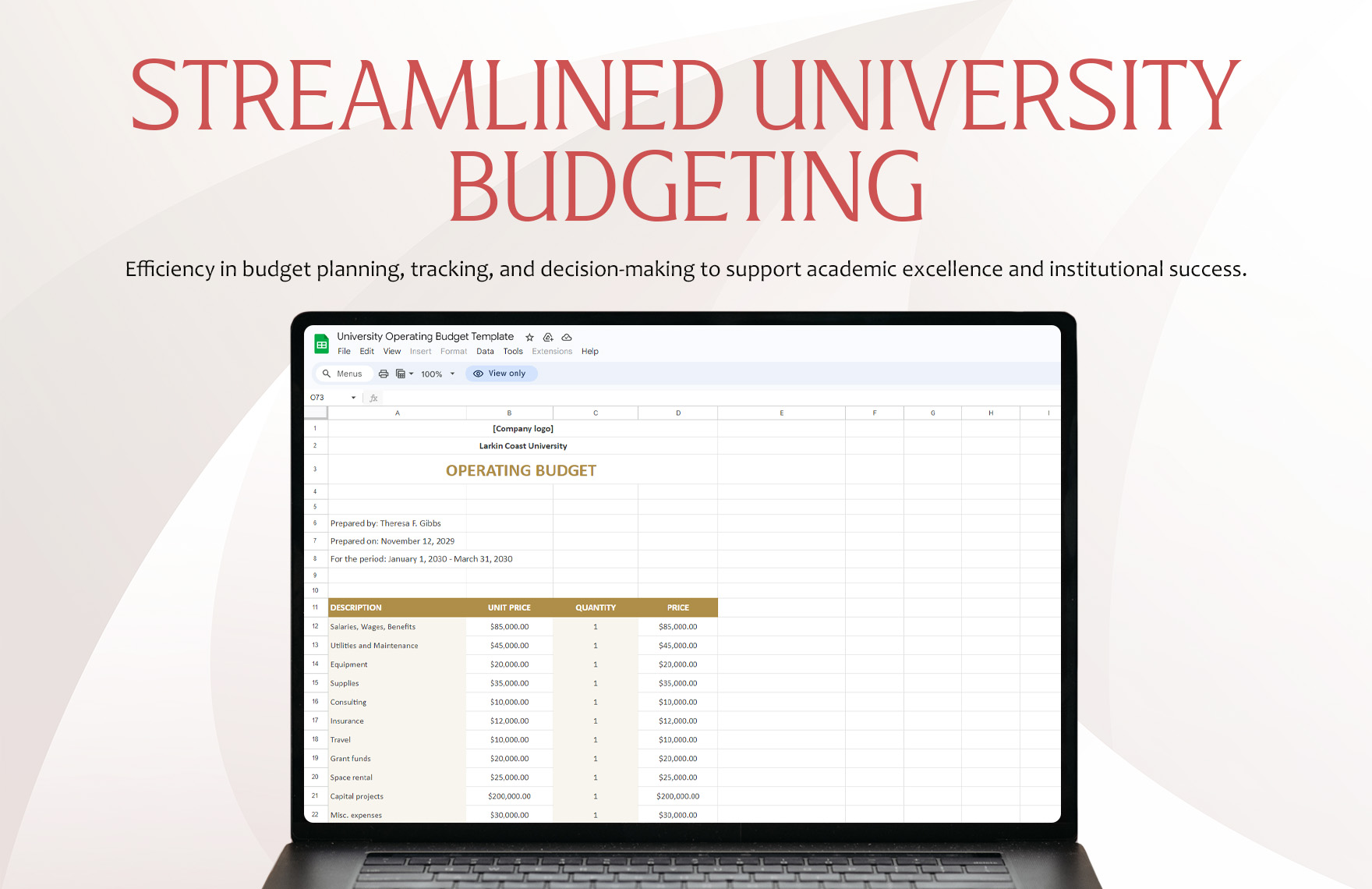 University Operating Budget Template