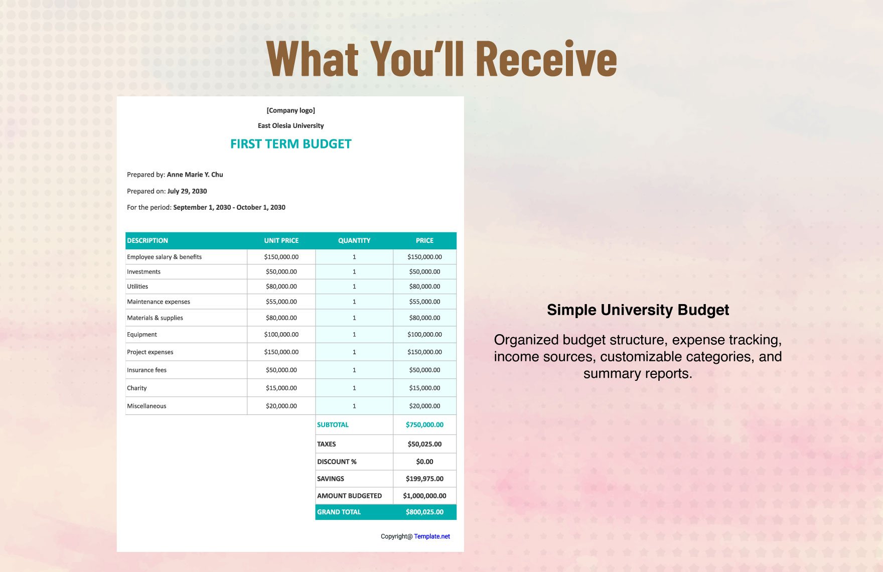 Simple University Budget Template