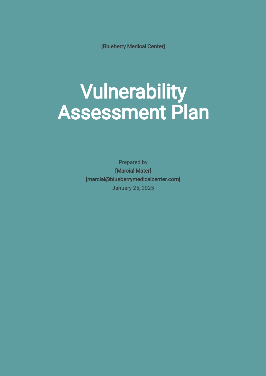 Vulnerability Assessment Plan Template [Free PDF] Word (DOC) Google