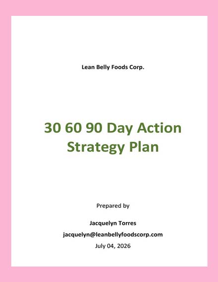    Days Action Plan Strategy Template