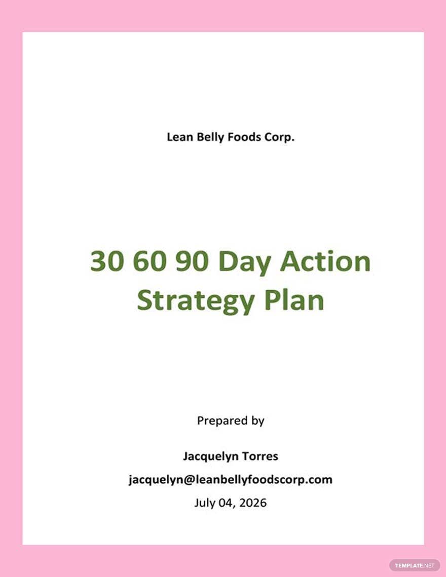 30 60 90 Days Action Plan Strategy Template