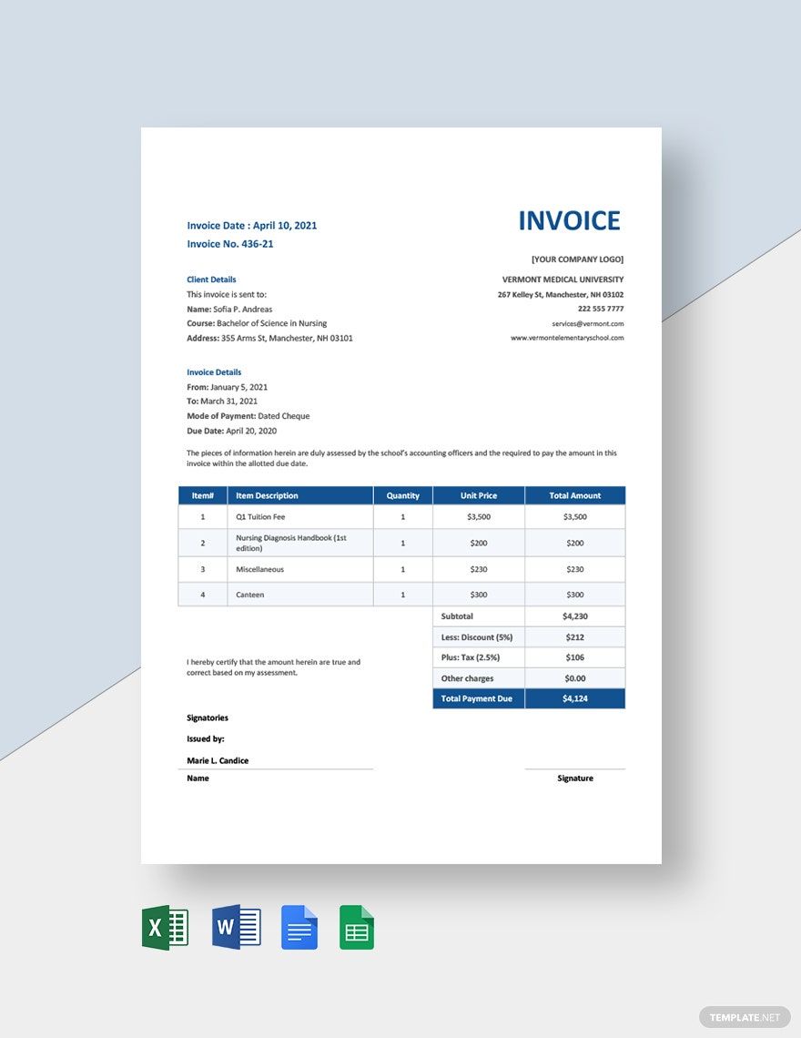 Nursing School Invoice Template in Word, Google Docs, Excel, Google Sheets, Apple Pages