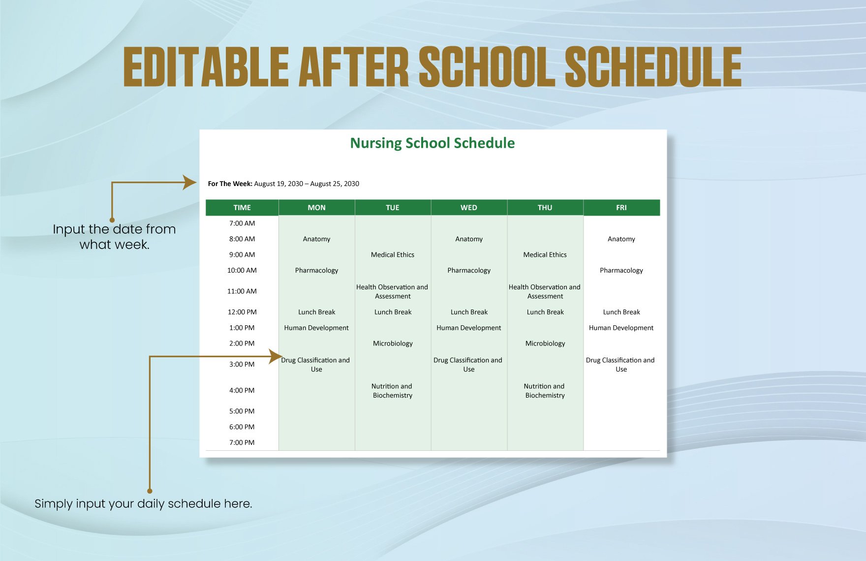 Nursing School Schedule Template