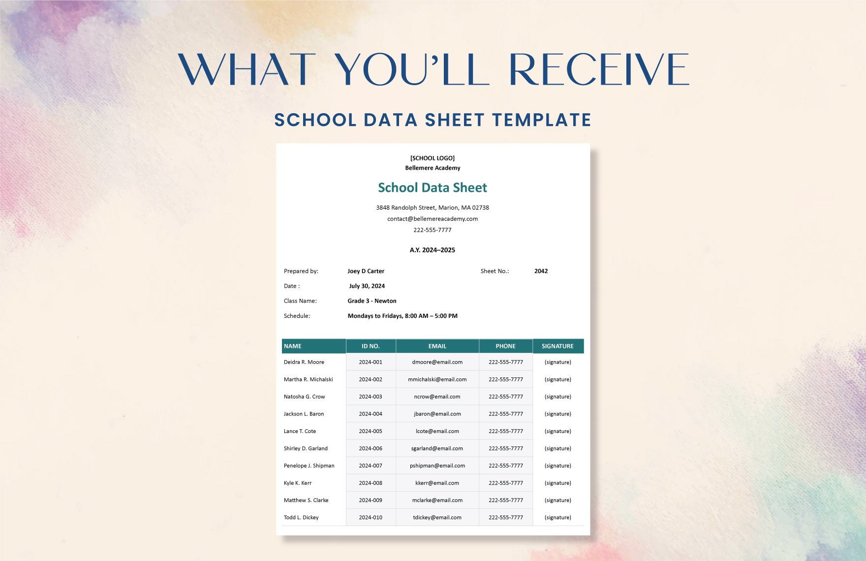 School Data Sheet Template