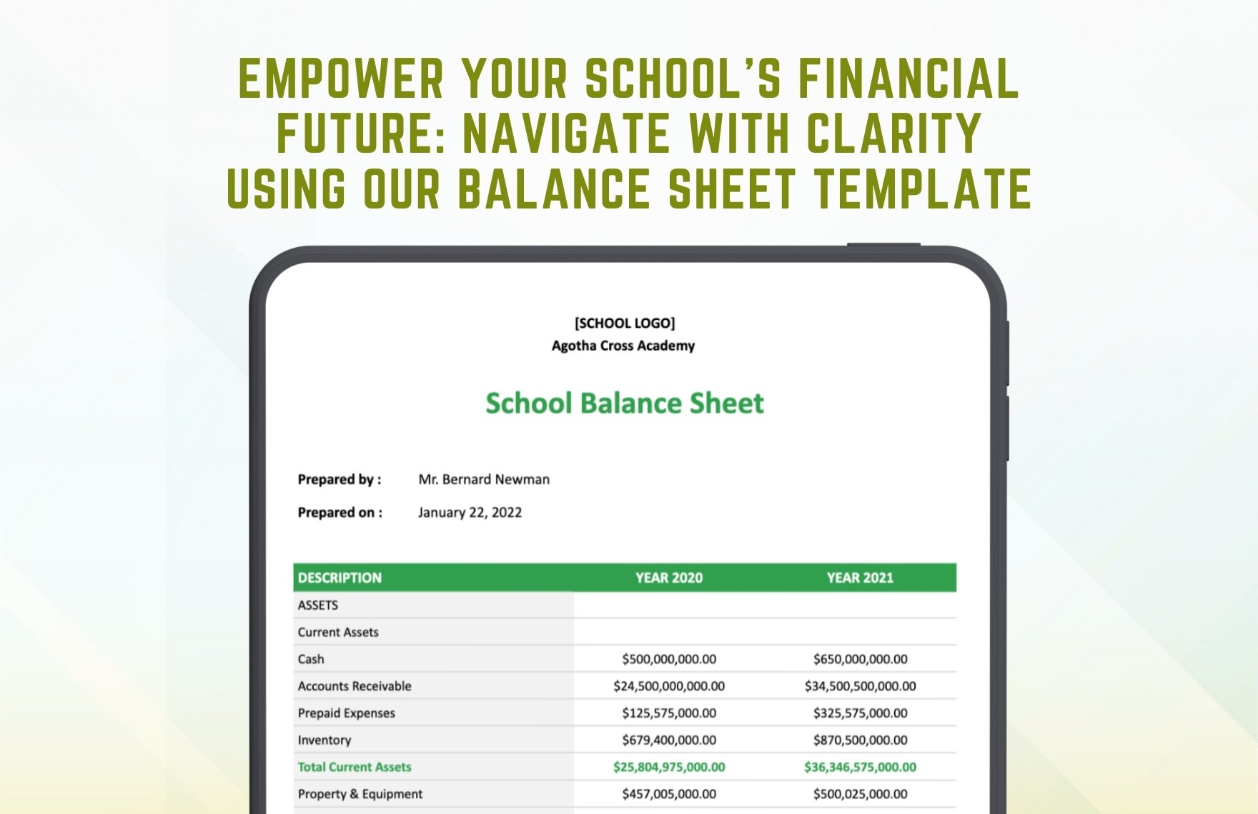 School Balance Sheet Template
