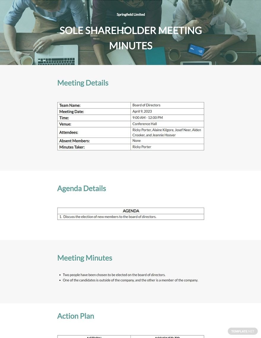 Sole Shareholder Meeting Minutes Template