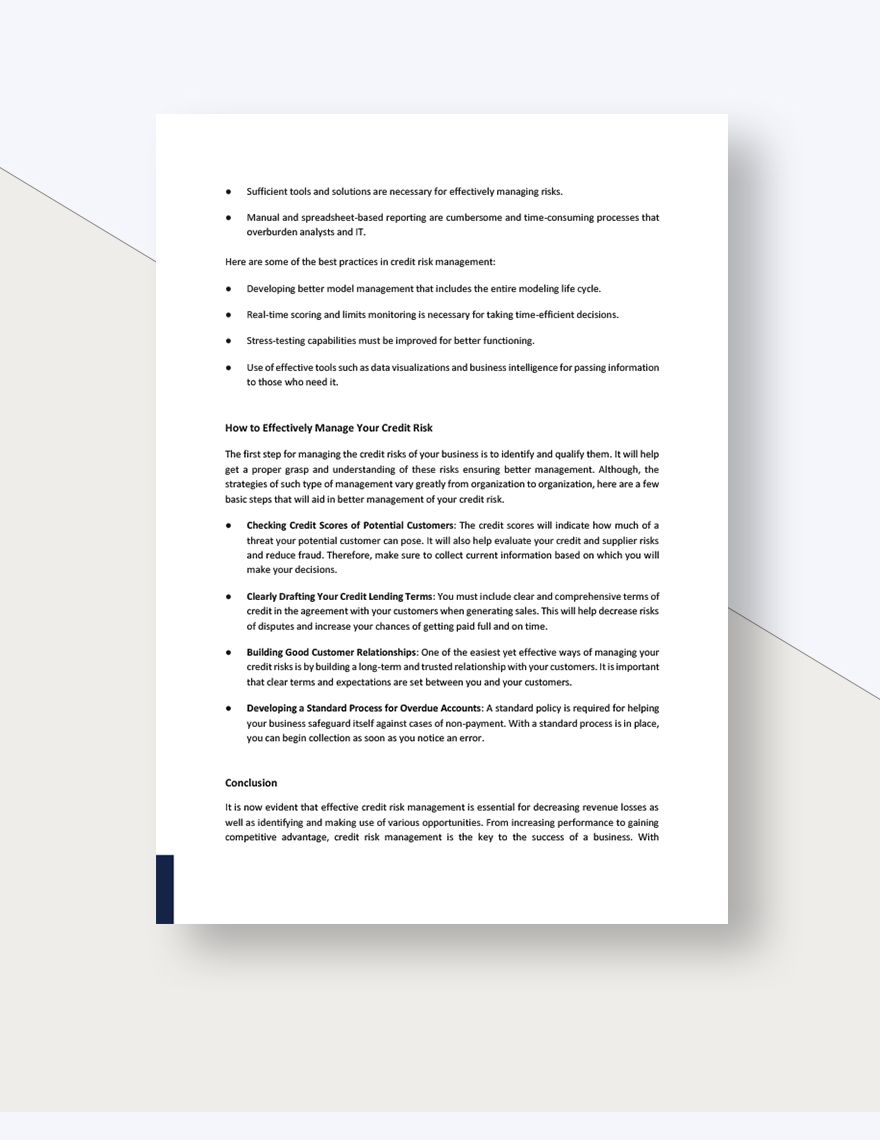 Credit Risk Management White Paper Template