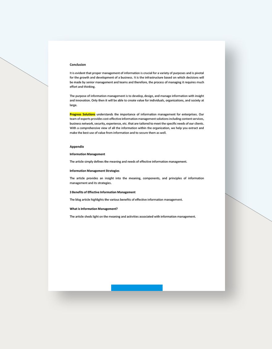 Information Management White Paper Template