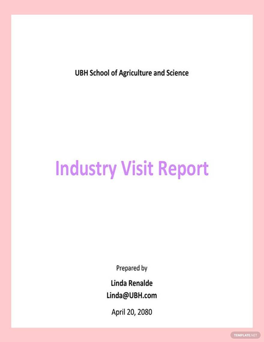 Industry Visit Report Template