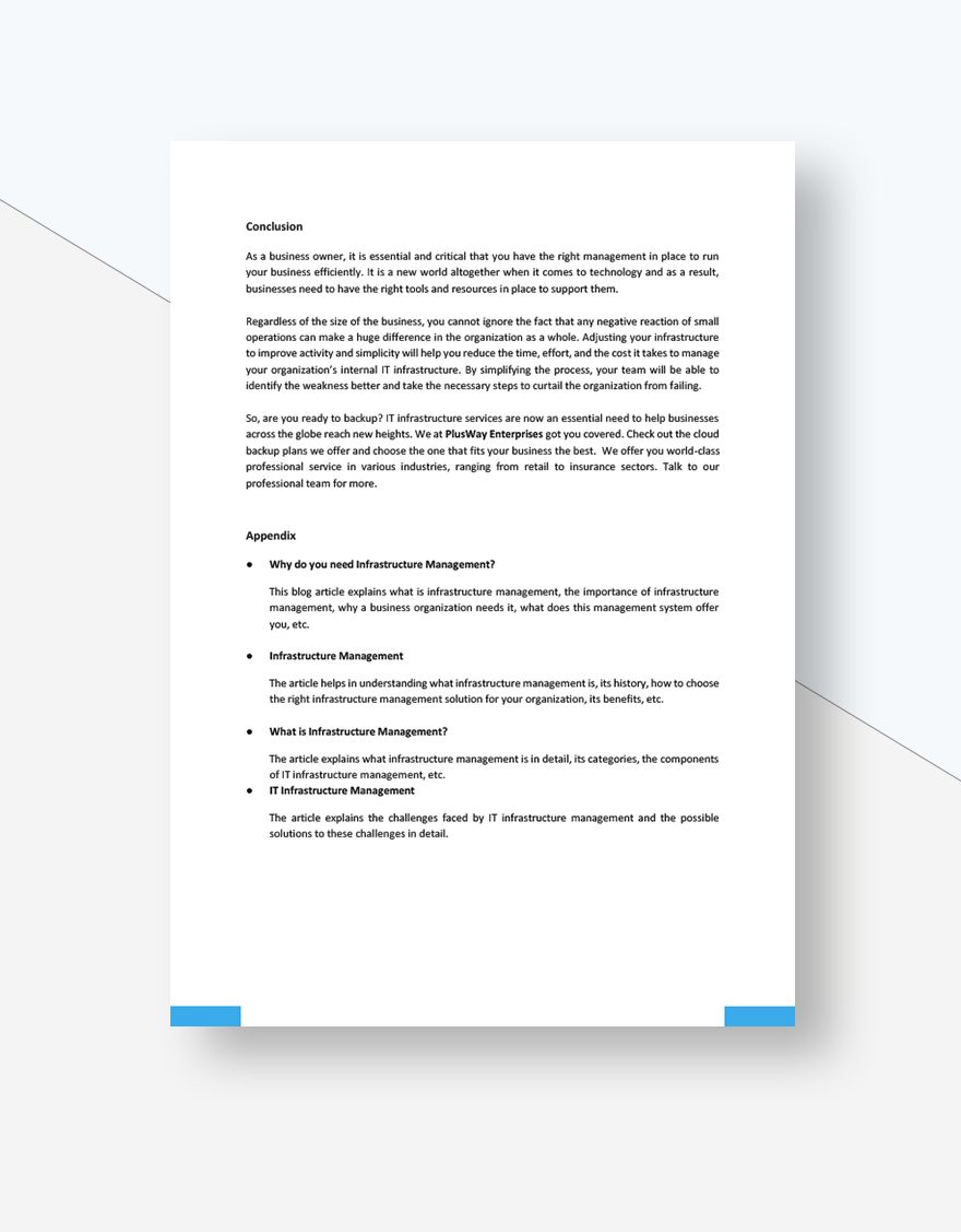 Infrastructure Management White Paper Template