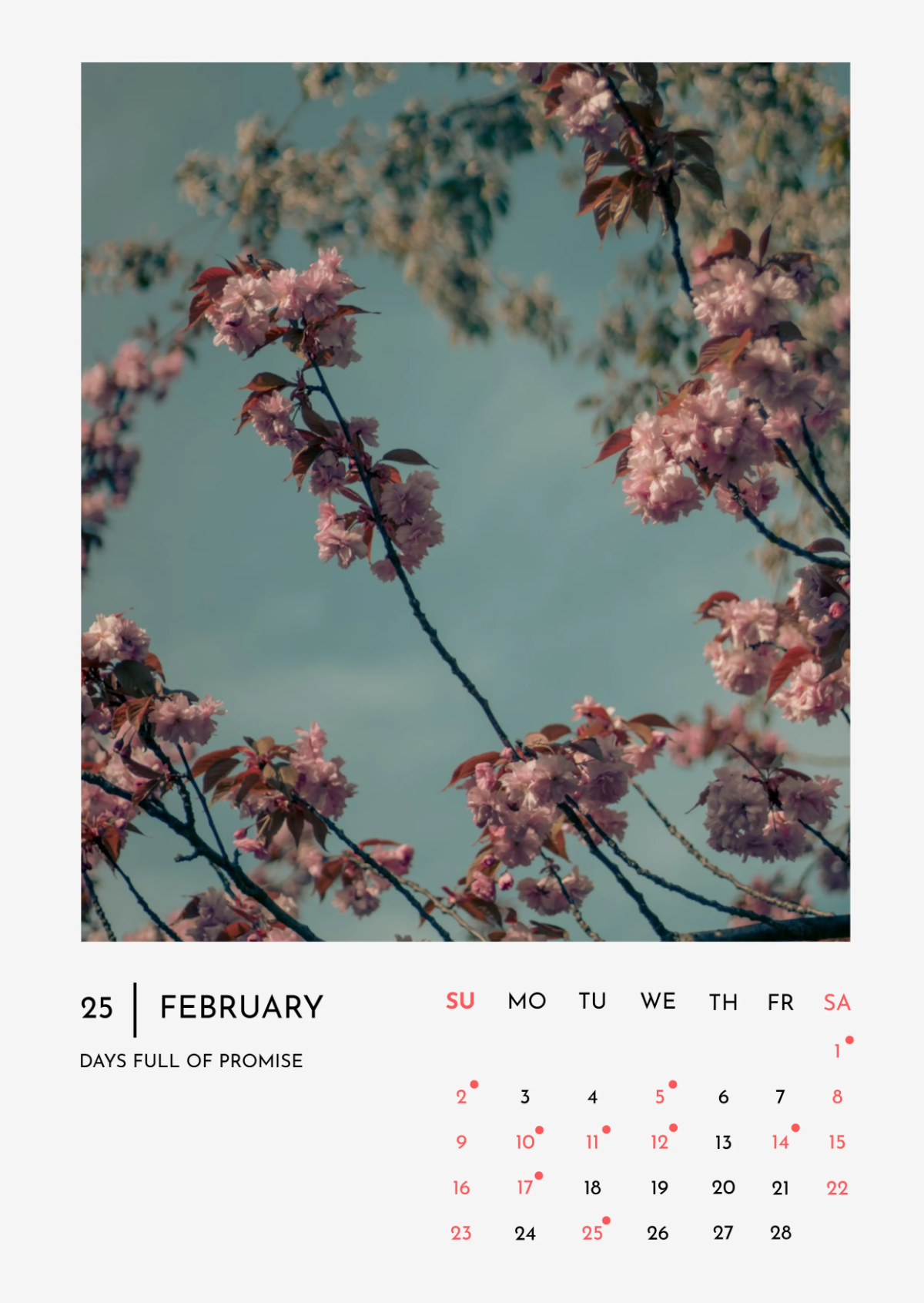 Free February 2025 Calendar Template to Edit Online