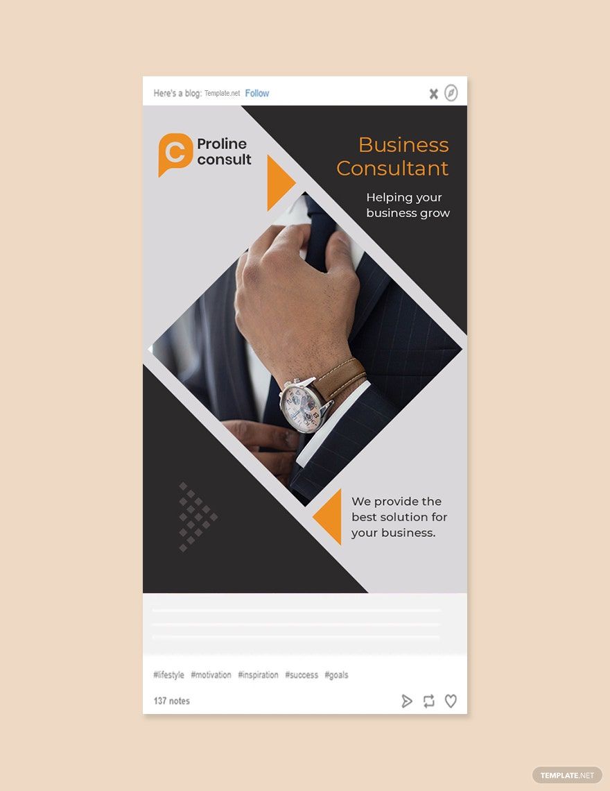 Business Consultant Tumblr Post Template in PSD