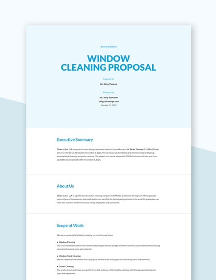 window cleaning business plan template