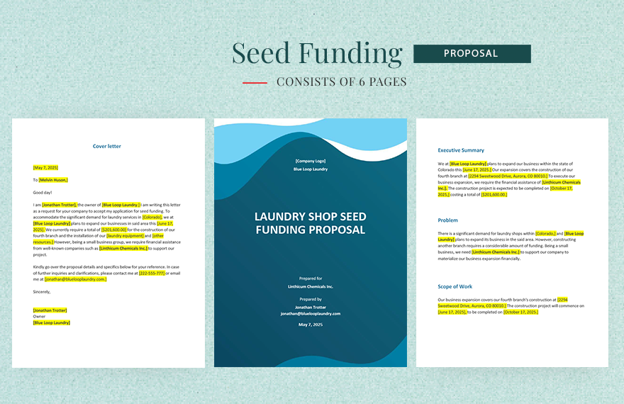 Seed Funding Proposal Template
