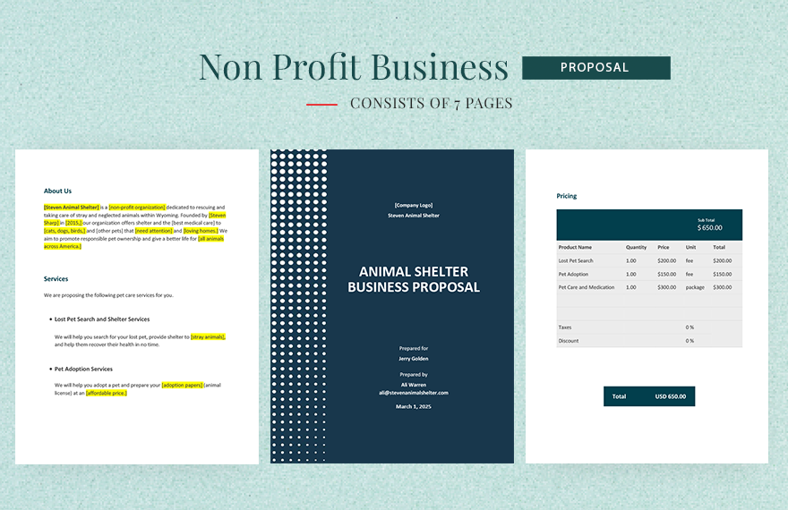 Non Profit Business Proposal Template in Word, Google Docs, Apple Pages