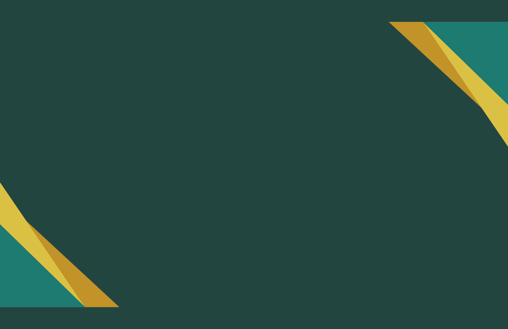 Elegant Presentation Border