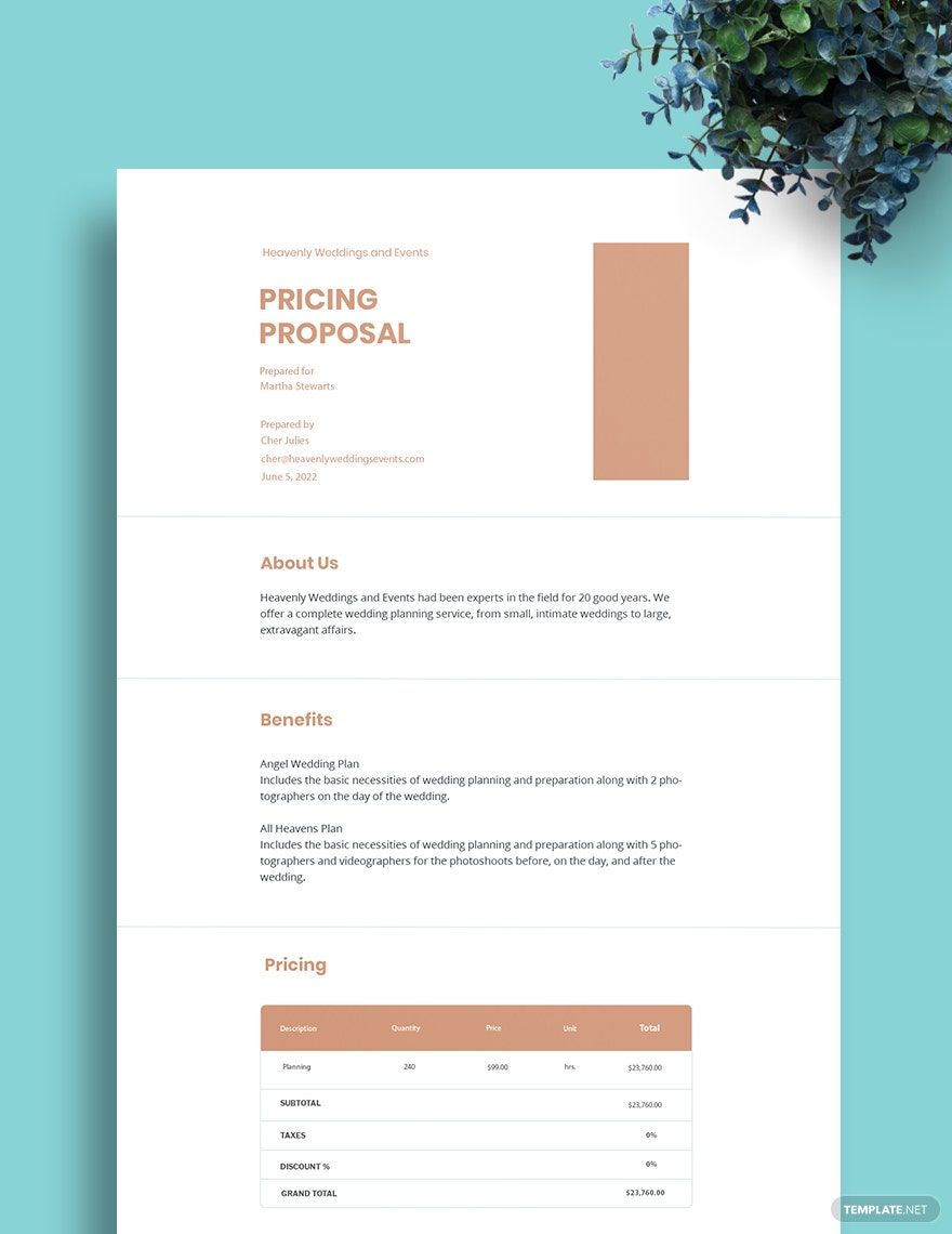 Pricing Proposal Word Templates Design Free Download Template net