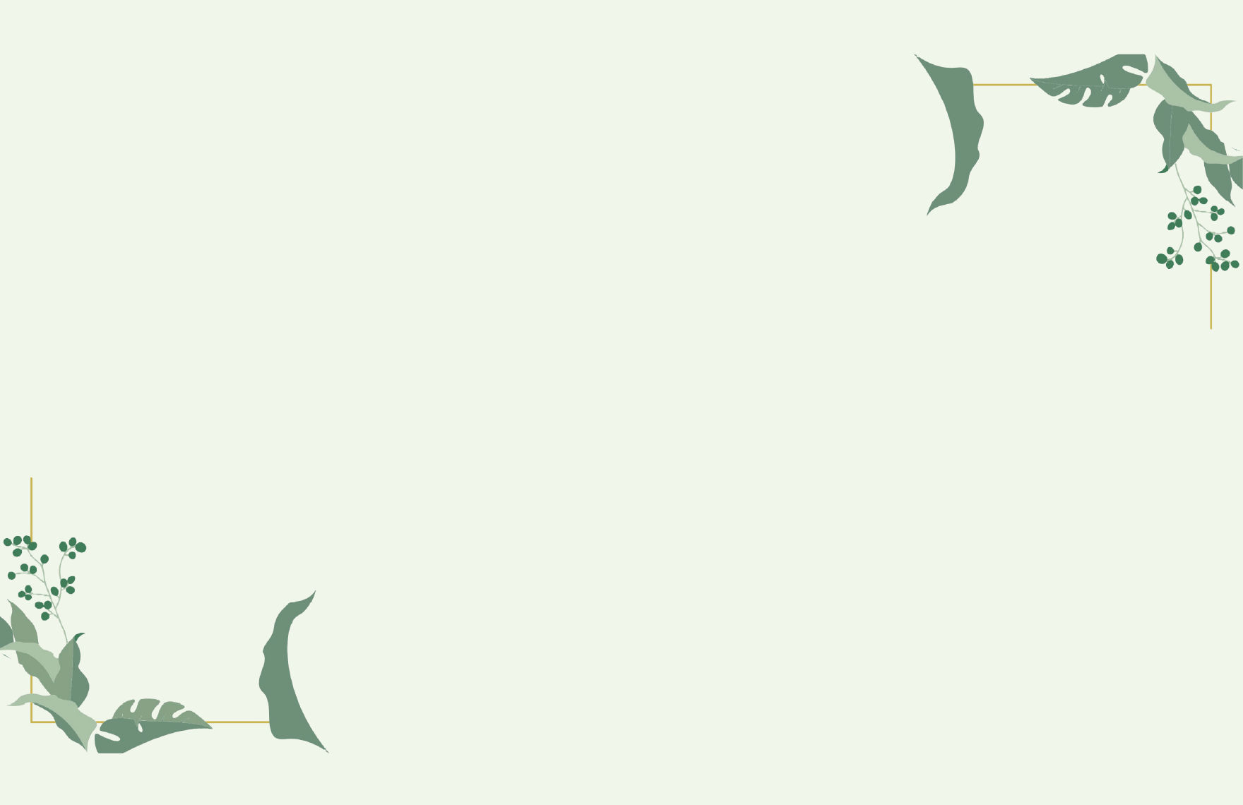 Decorative Presentation Border