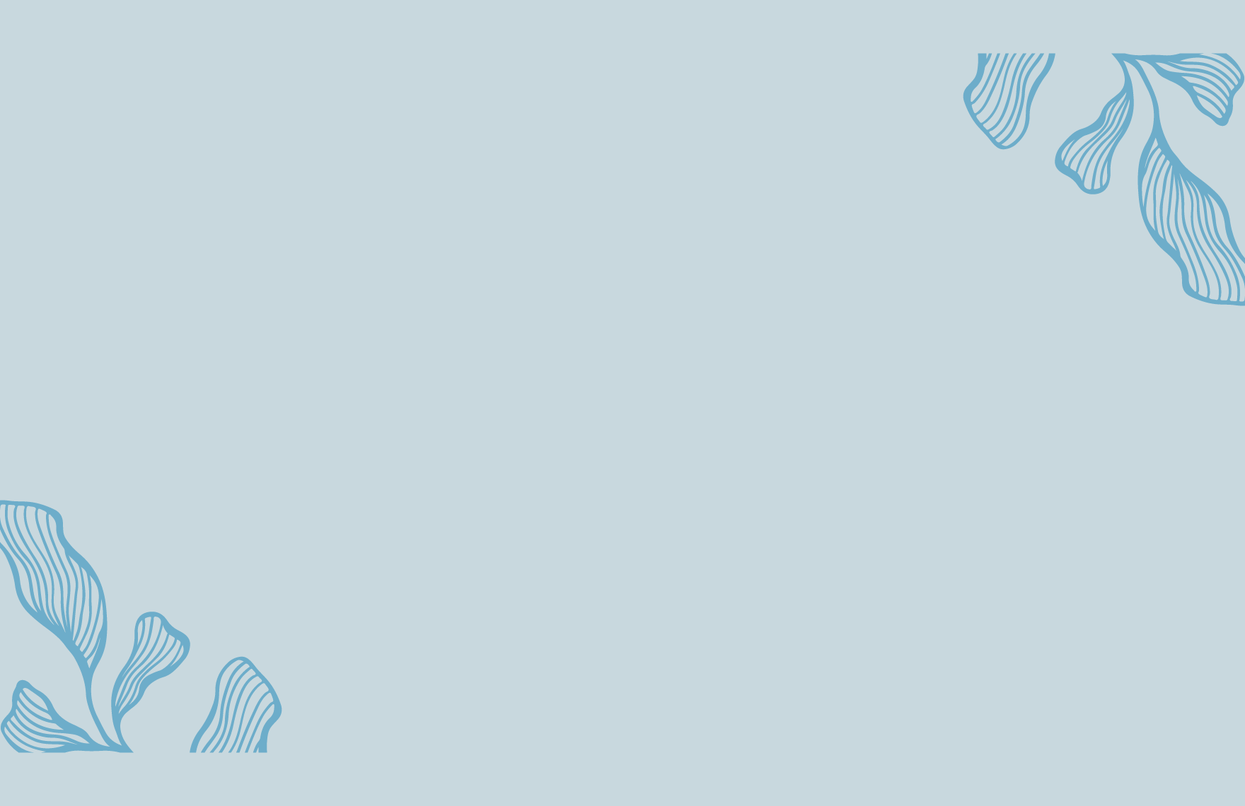 Minimalist Presentation Border
