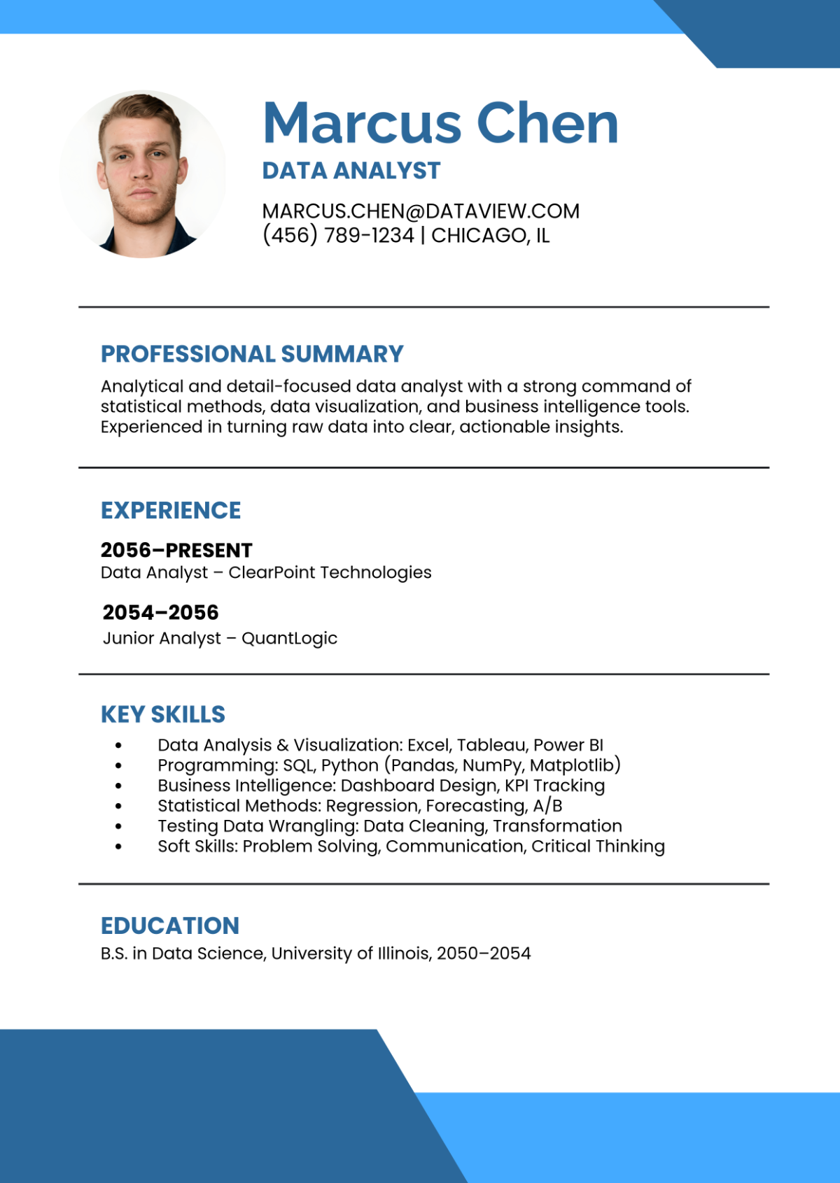 Free Resume Skills Infographic Template to Edit Online