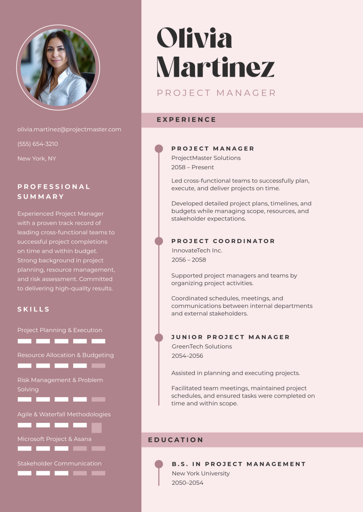 Aesthetic Resume Project Infographic Template
