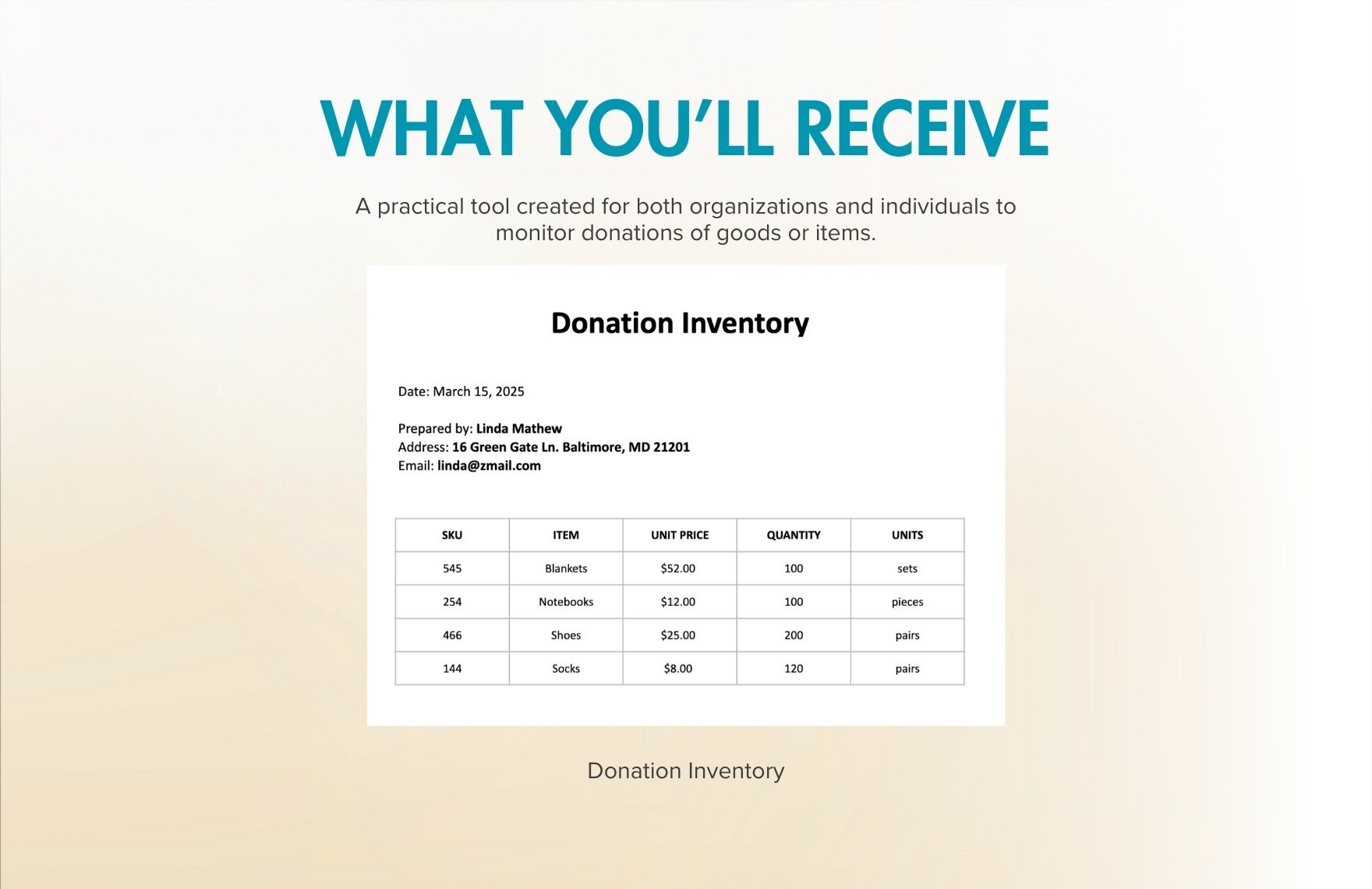 Donation Inventory Template