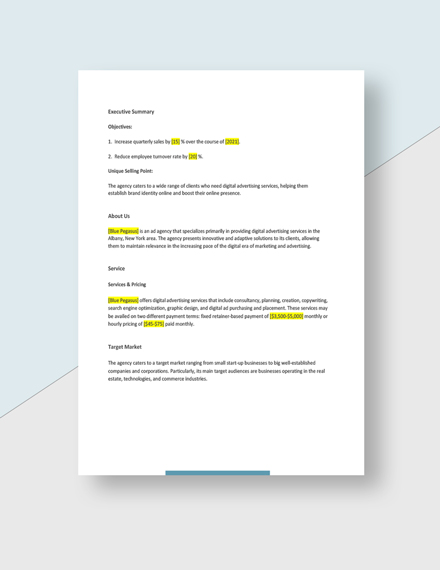 Free Blank Advertising Agency Business Plan Template - Google Docs ...