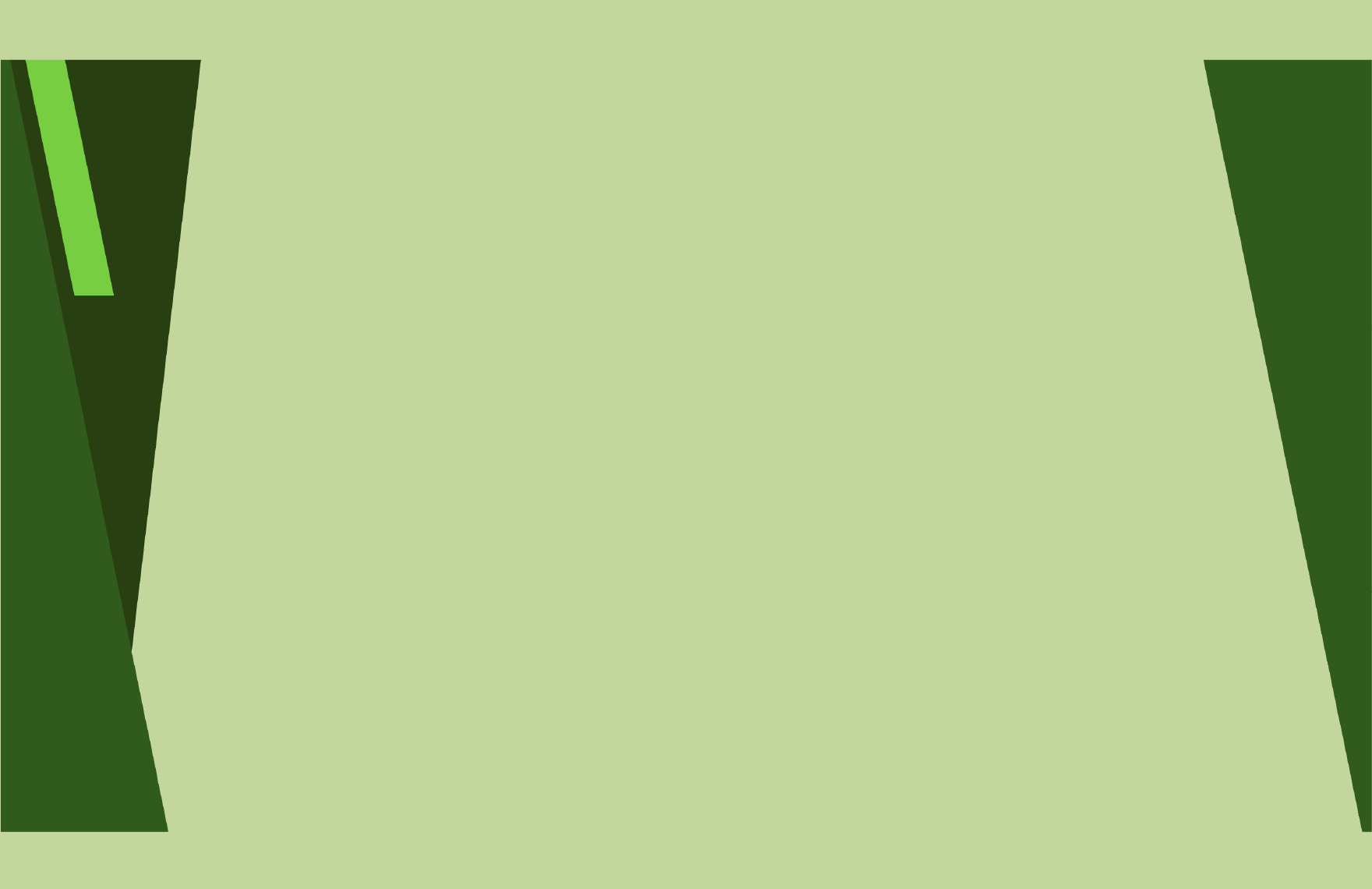 Bold Presentation Border