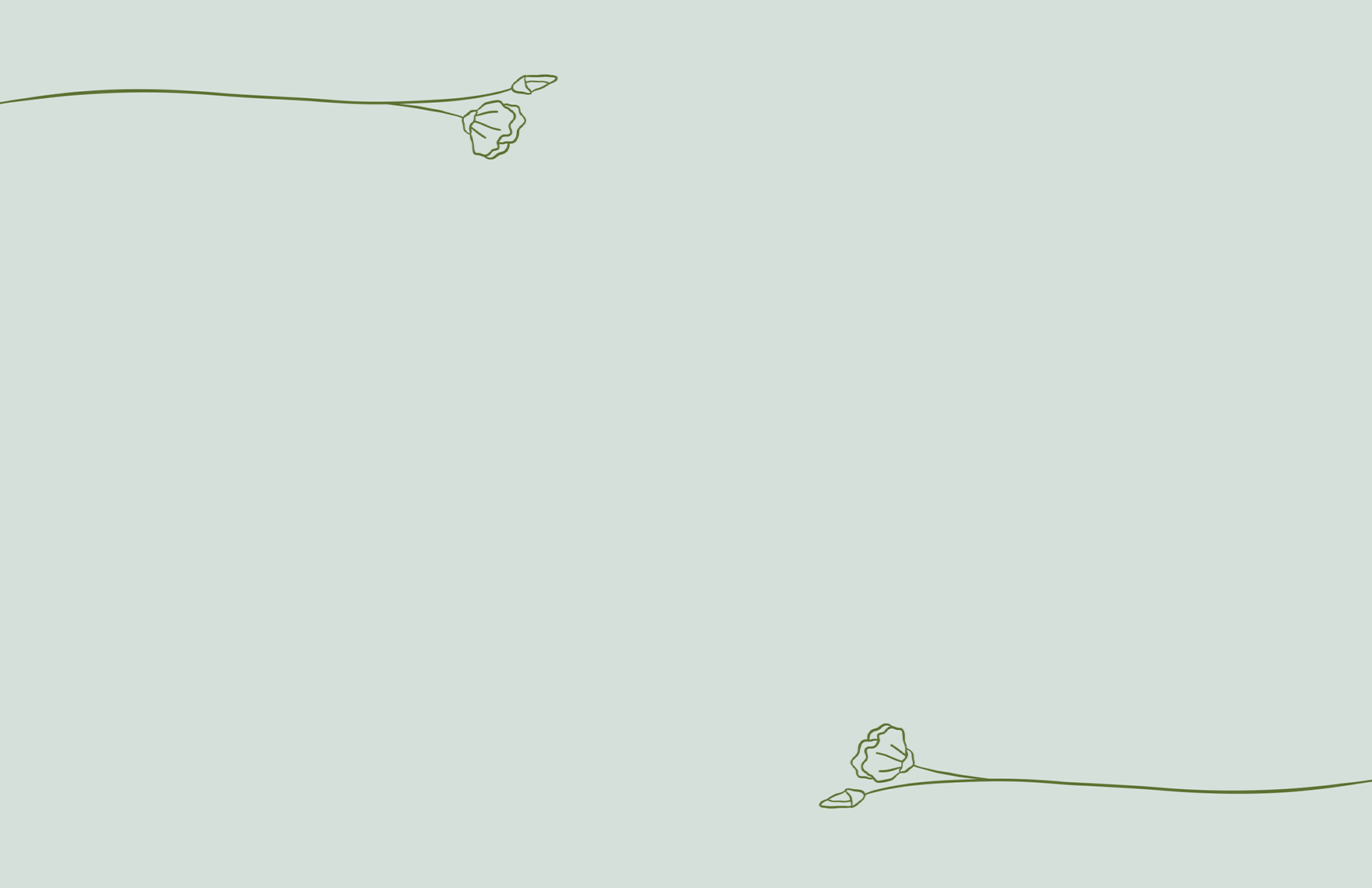 Thin Presentation Border