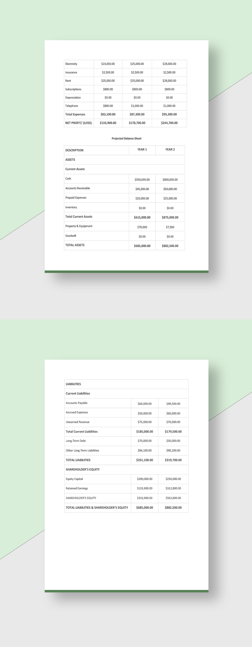 Editable Advertising Agency Business Plan Template