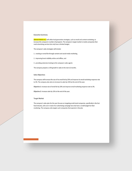 Free Blank Advertising Agency Business Plan Template - Google Docs ...